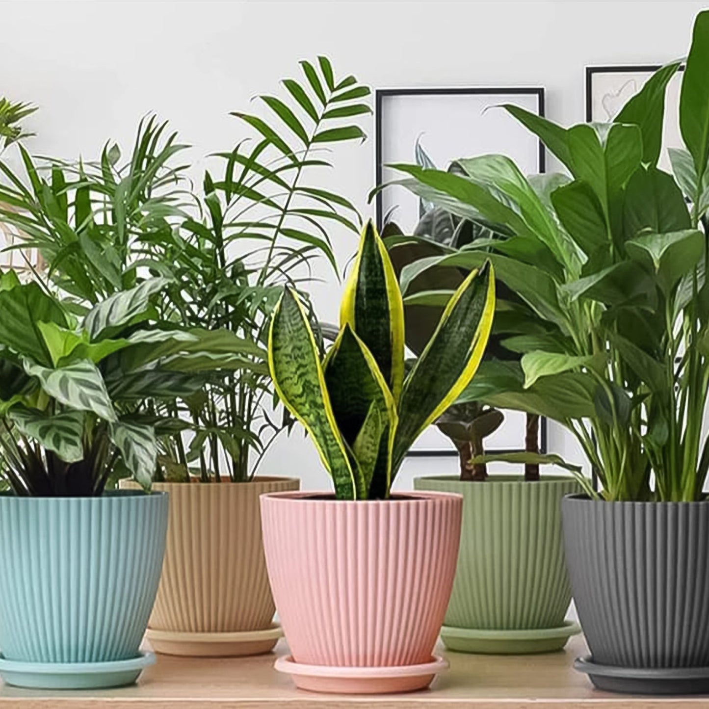 Plastic Flower Pots with Trays – Set of 5 Indoor & Outdoor Planters