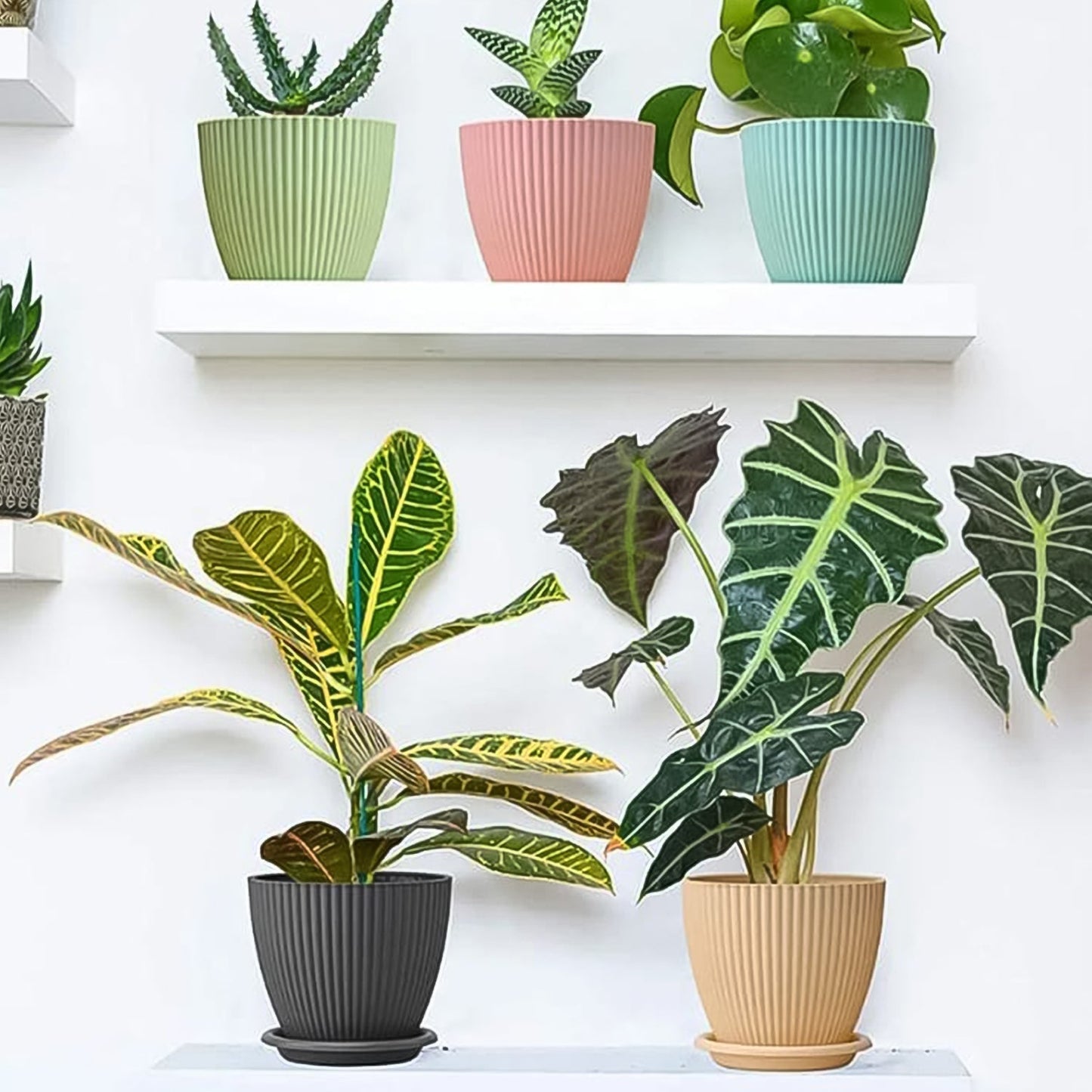 Plastic Flower Pots with Trays – Set of 5 Indoor & Outdoor Planters