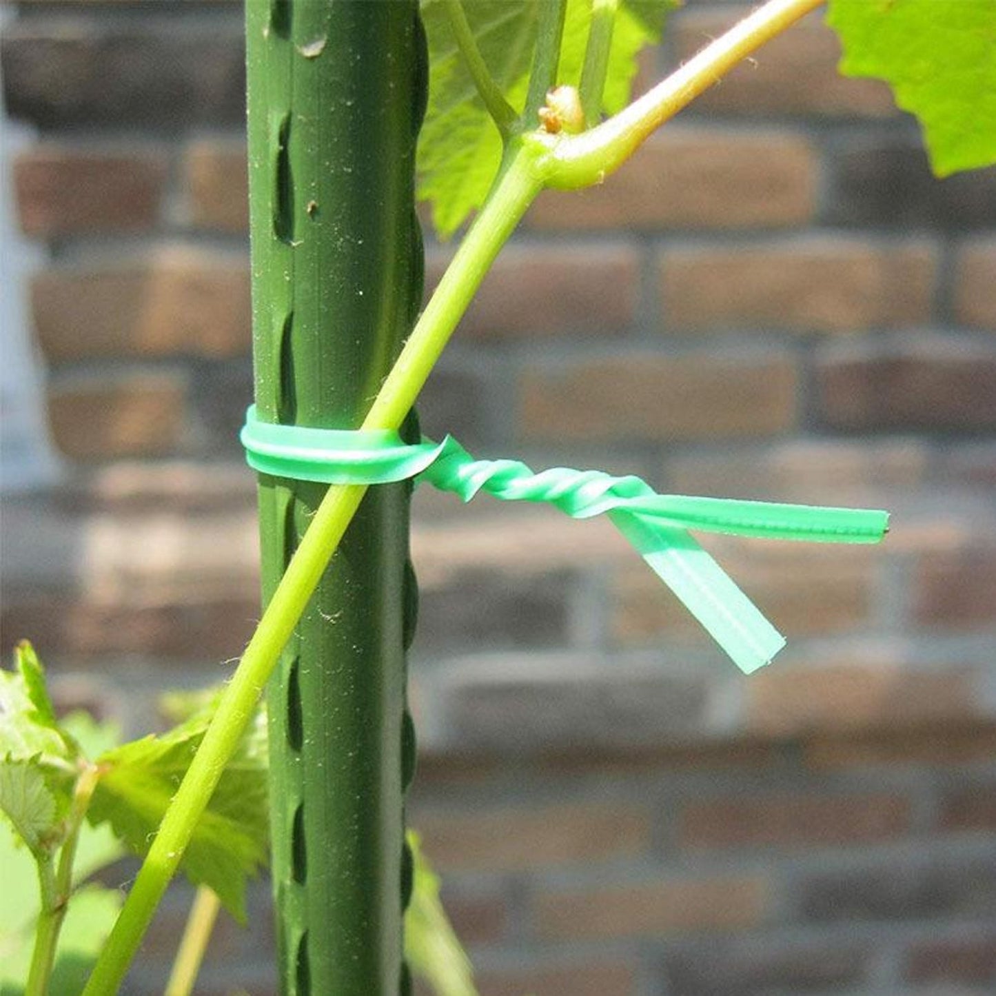 Plastic Twist Tie Wire Spool With Cutter For Garden & Plant – 50m