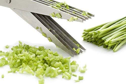 Blade Stainless Steel Herb Scissors – Multipurpose Cutter