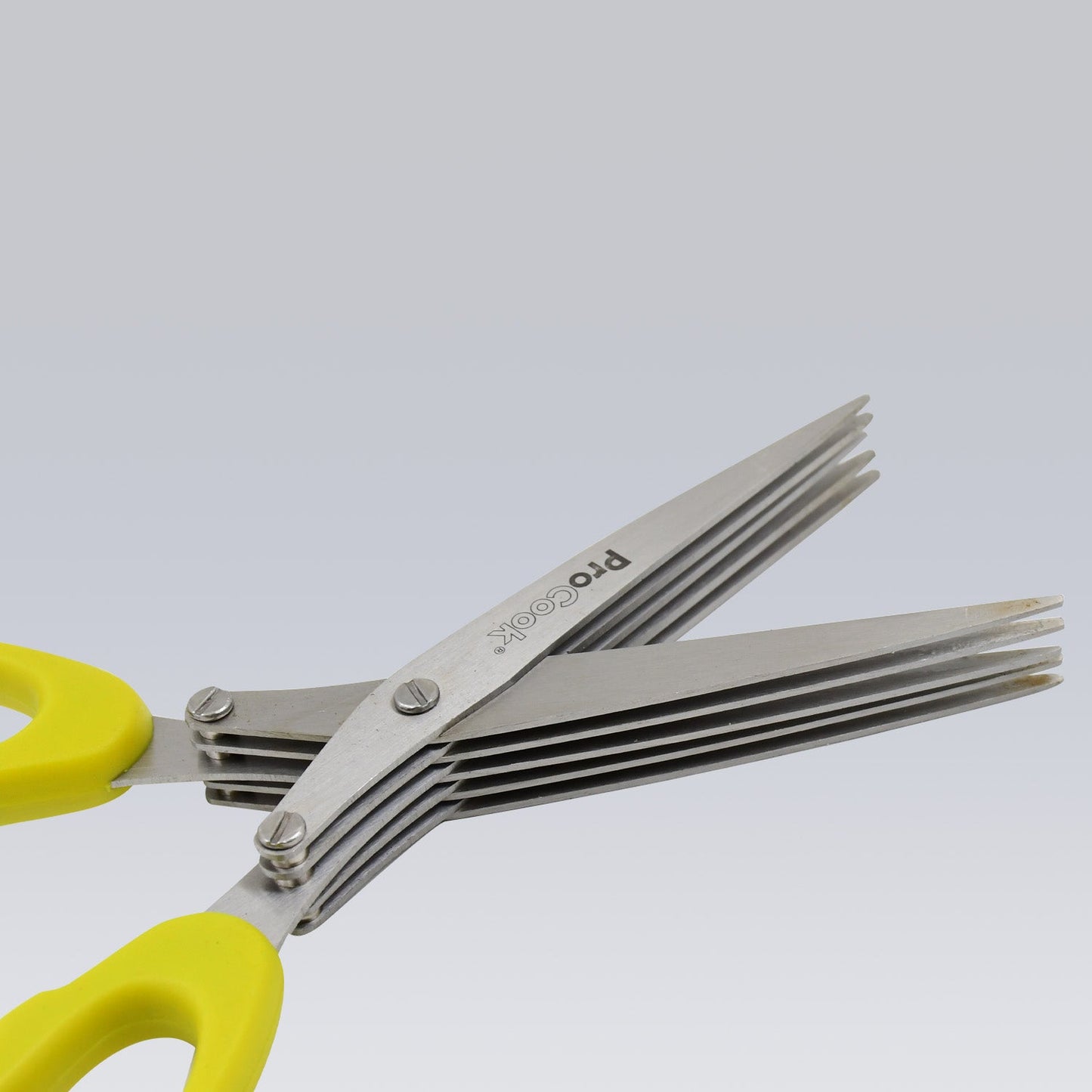 Stainless Steel 5-Blade Herb & Vegetable Scissors