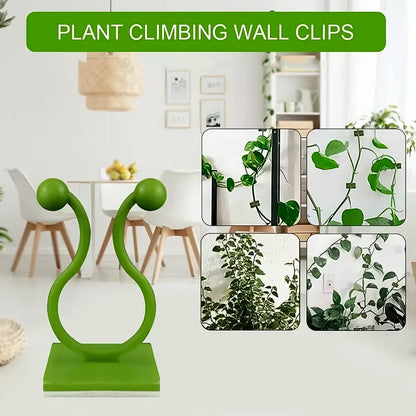 Plant Climbing Wall Fixture Clips – Self-Adhesive Vine Support Hooks for Home & Garden - Pack of 100