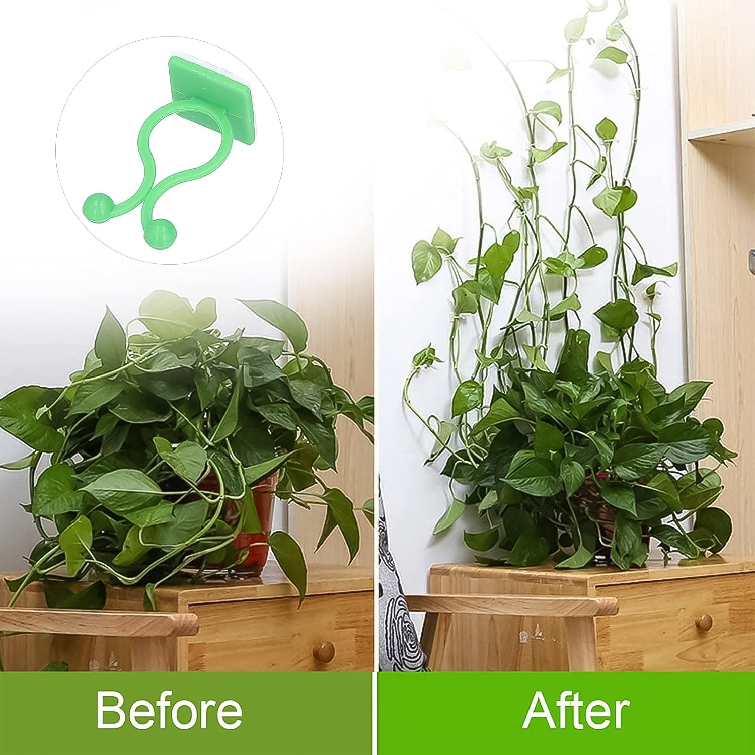 Plant Climbing Wall Fixture Clips – Self-Adhesive Vine Support Hooks for Home & Garden - Pack of 100