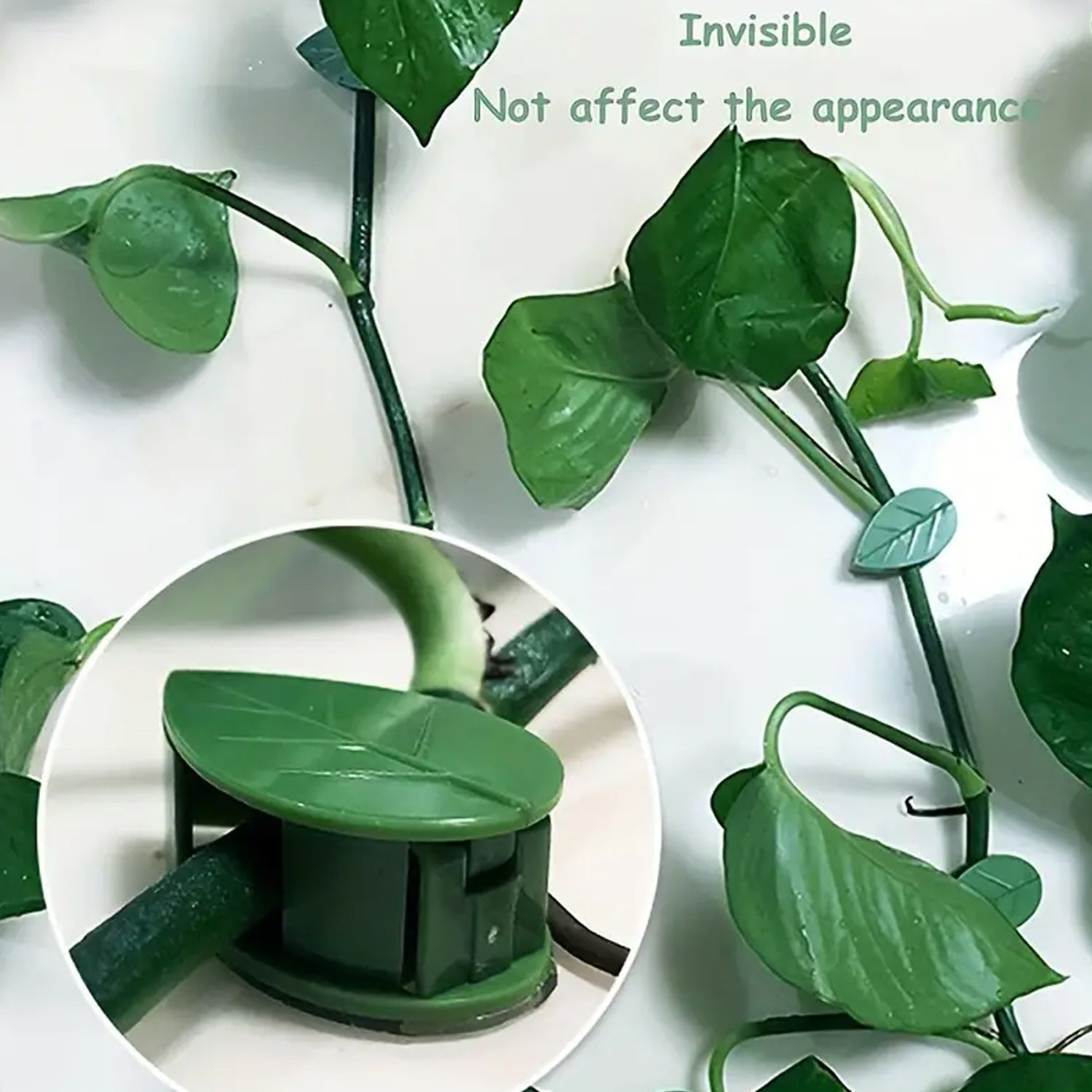 Plant Climbing Wall Fixture Clips – Self-Adhesive Vines Support Hooks (Set of 10)