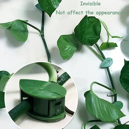 Plant Climbing Wall Fixture Clips – Self-Adhesive Vines Support Hooks (Set of 10)