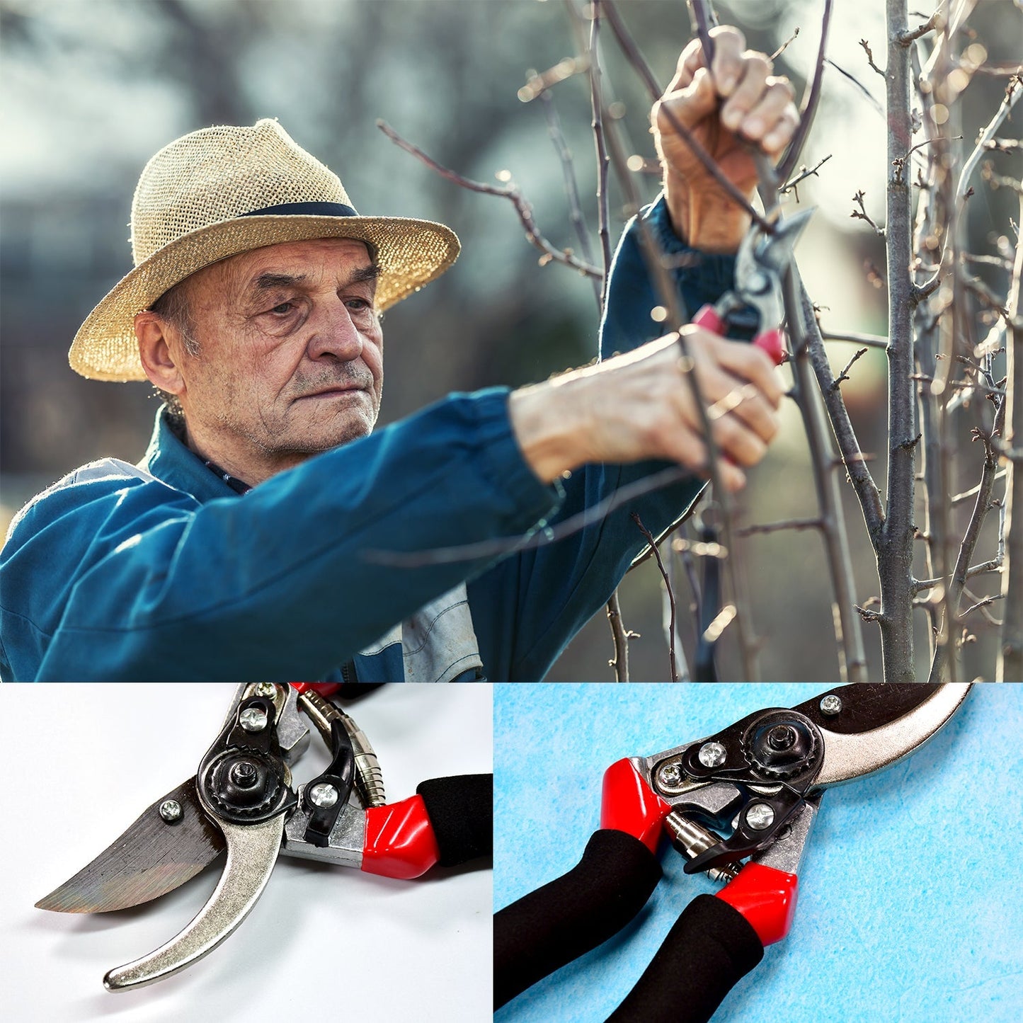 21Cm Red Garden Shears – Sharp Cutter Pruner Scissors for Gardening
