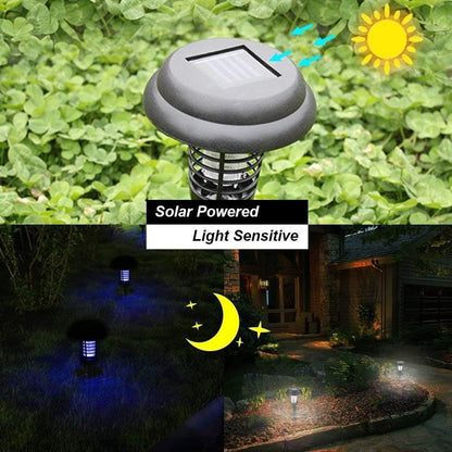 Medium Solar Bug Zapper & Garden Light – UV LED Mosquito Trap (1 Pc)