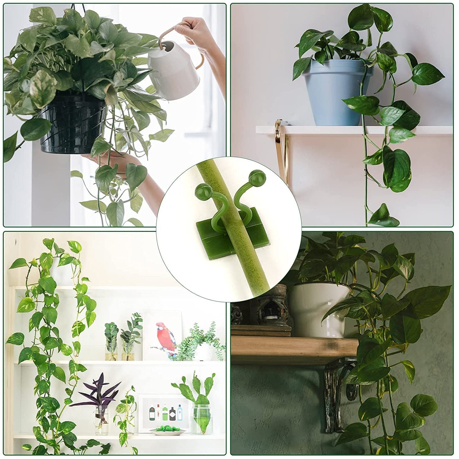 30PCS Wall Plant Climbing Clips – Space-Saving Vine Support for Home & Garden (Box/30 Pcs Set)