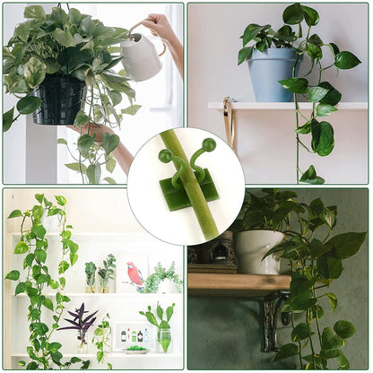 30PCS Wall Plant Climbing Clips – Space-Saving Vine Support for Home & Garden (Box/30 Pcs Set)